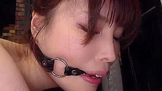 x1x640ED59536BB0F790A