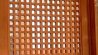 x1xDD3D66191276FE3795