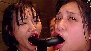 x1x91582C75A3F8EEA4C8